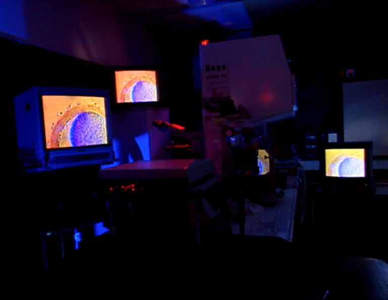 A film shot in France as a resurrection : Fecondation in video