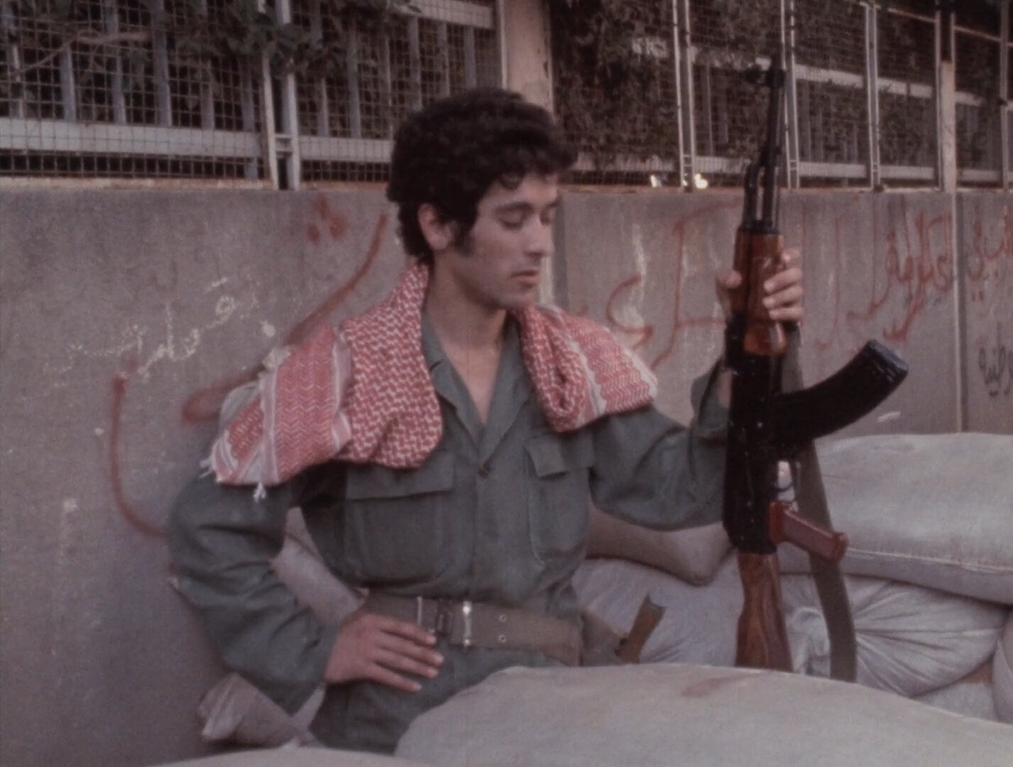 Le Liban Dans La Tourmente